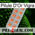 Vigra Gold Pill 26